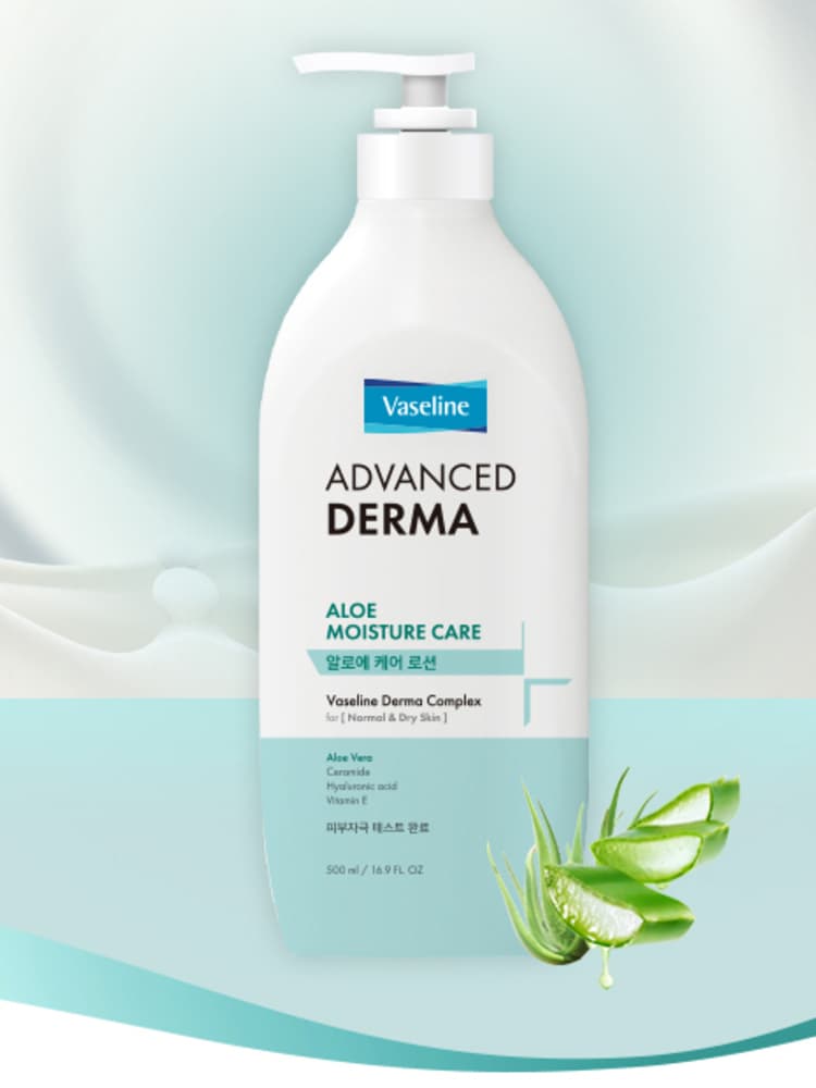 Aekyung Vaseline Vaseline Derma Daily Aloe Care 500ml